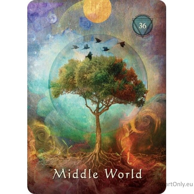 Mystical Shaman Oracle kortos Hay House 3 Mystical Shaman Oracle kortos Hay House 3