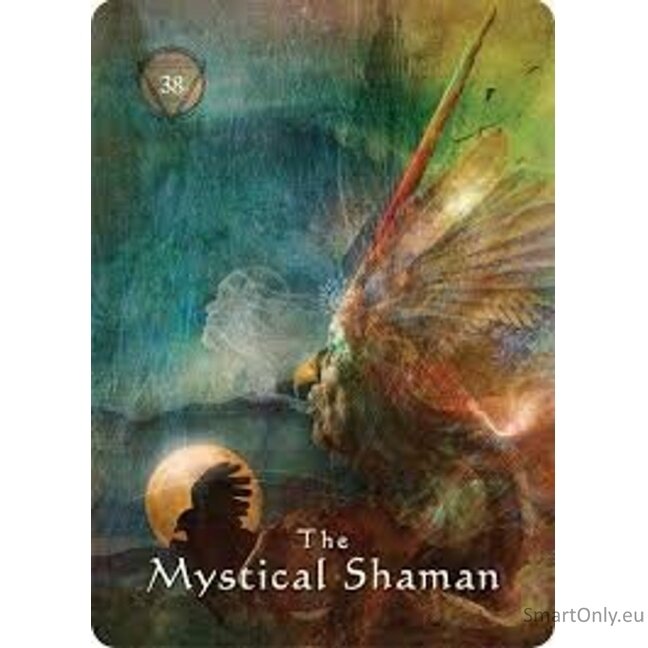 Mystical Shaman Oracle kortos Hay House 7 Mystical Shaman Oracle kortos Hay House 7