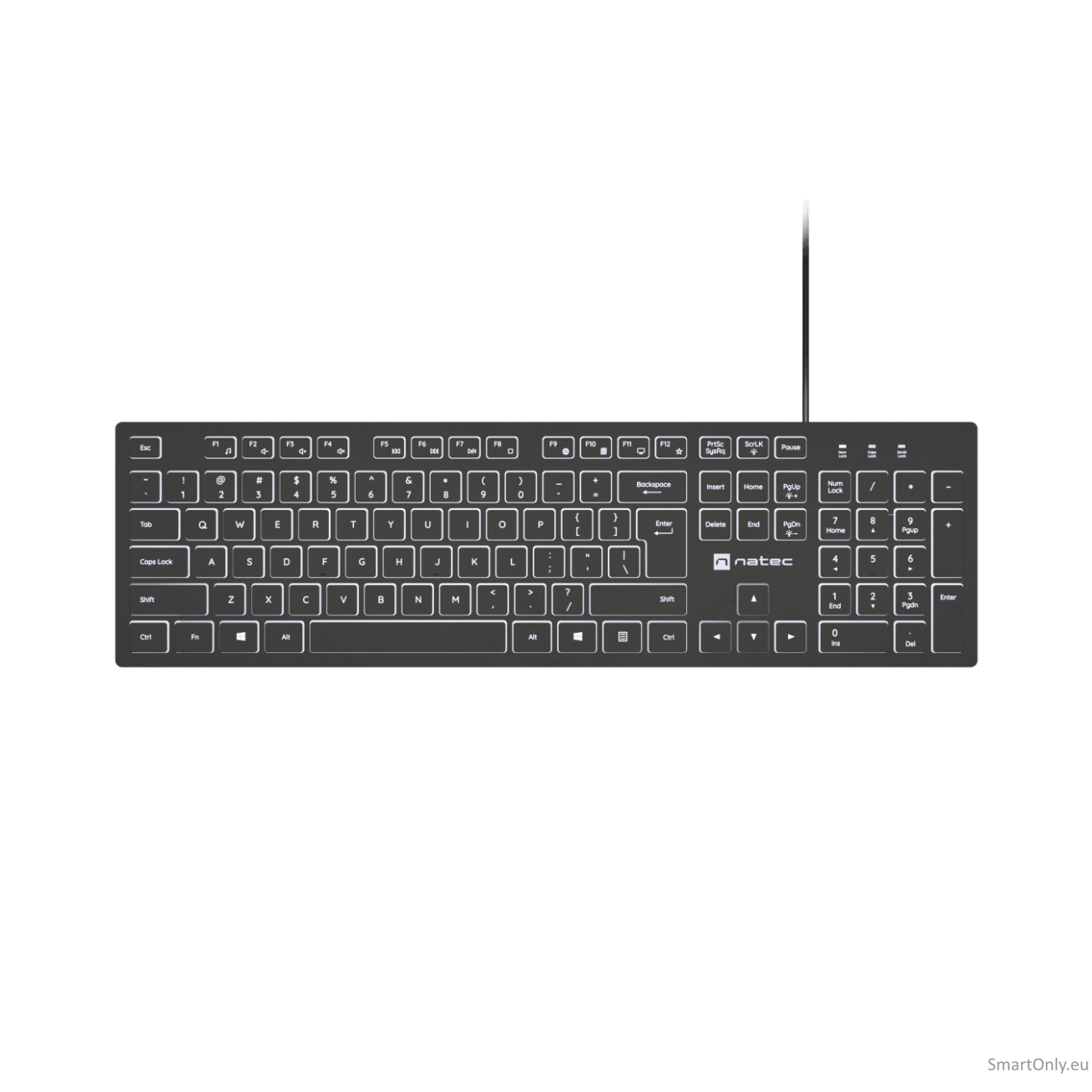 Natec | Herring Glow | Keyboard | Wired | US | Black