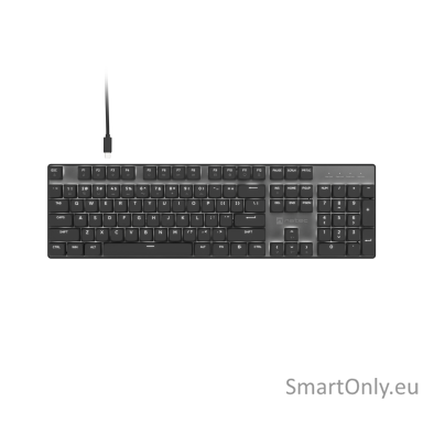 Natec Amberjack | Keyboard | Wired | US | Linear | White backlight, Hot-swappable switches, Anti-ghosting, Built-in memory, Macro recording | Black/Gray Natec Amberjack | Keyboard | Wired | US | Linear | White backlight, Hot-swappable switches, Anti-ghosting, Built-in memory, Macro recording | Black/Gray