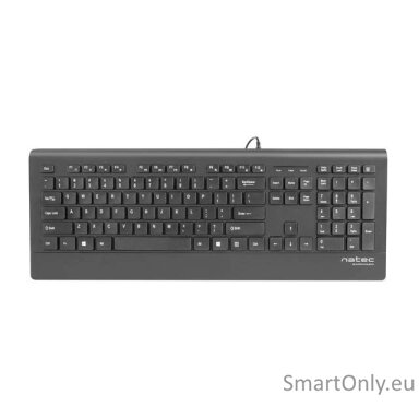 Natec Keyboard, Barracuda, US Layout, Slim Natec Keyboard Barracuda Standard Wired US 529 g Black