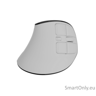 Natec Mouse | Euphonie Pro | Wireless | 2.4 GHz, Bluetooth | White Natec Mouse | Euphonie Pro | Wireless | 2.4 GHz, Bluetooth | White