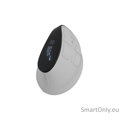 Natec Mouse | Euphonie Pro | Wireless | 2.4 GHz, Bluetooth | White Natec Mouse | Euphonie Pro | Wireless | 2.4 GHz, Bluetooth | White