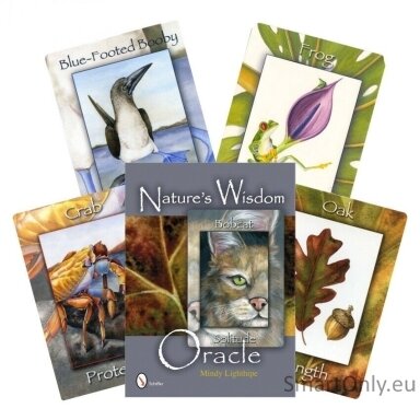 natures-wisdom-oracle-kortos-schiffer-publishing