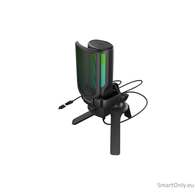 Natec | Microphone | GENESIS Radium 250 | Built-in microphone | Wired | Black