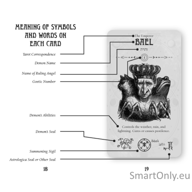 Occult Taro Pocket kortos metalinėje dėžutėje Rockpool