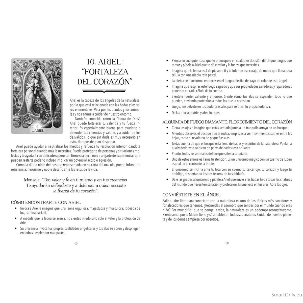 Oráculo Del Fuego De Los Arcángeles Ispaniškos kortos Inner Traditions 3 Oráculo Del Fuego De Los Arcángeles Ispaniškos kortos Inner Traditions 3