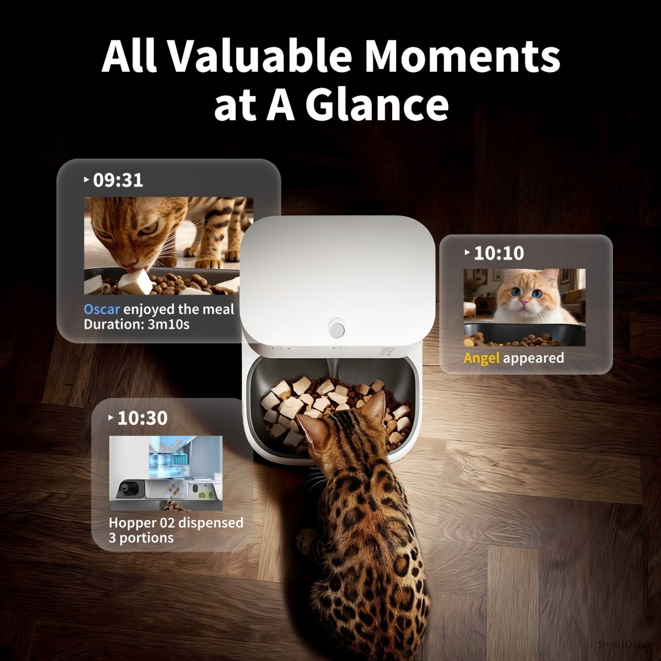 PETKIT YumShare Dual-hopper 2 Automatic Feeder with Camera | Capacity 5 L | Material ABS, 304 stainless steel | White 2 PETKIT YumShare Dual-hopper 2 Automatic Feeder with Camera | Capacity 5 L | Material ABS, 304 stainless steel | White 2