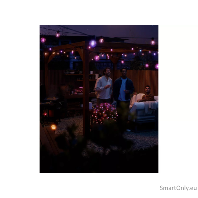 Philips Hue Festavia globe string 7m 10bulb ext|Philips Hue 9
