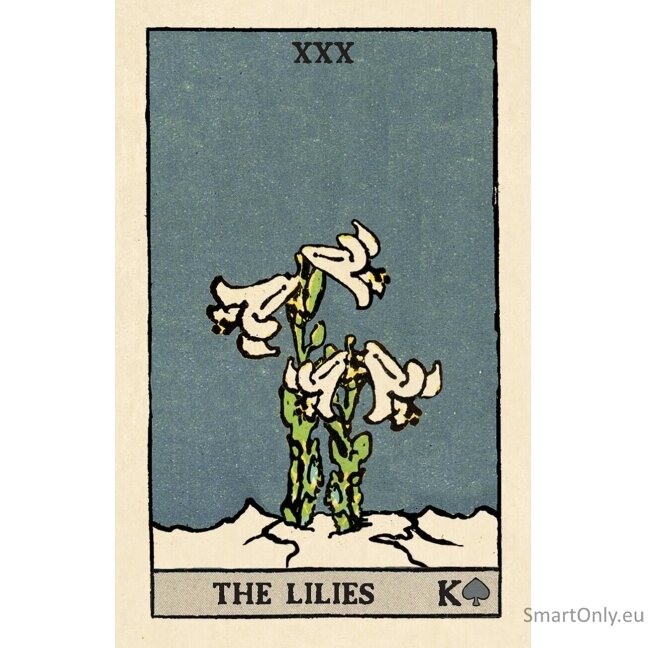Pixie Astounding Lenormand kortos skardinėjė dėžutėje US Games Systems 9 Pixie Astounding Lenormand kortos skardinėjė dėžutėje US Games Systems 9