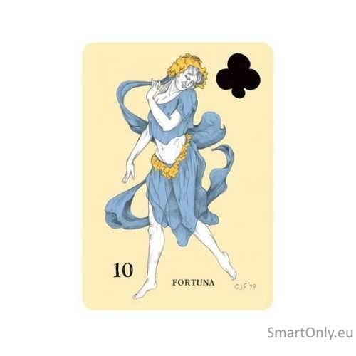Playing Cards Oracle Divination kortos US Games Systems 3 Playing Cards Oracle Divination kortos US Games Systems 3