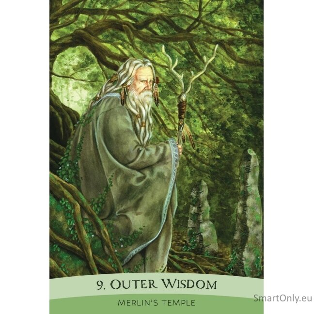 Practical Magic Oracle kortos Blue Angel 7 Practical Magic Oracle kortos Blue Angel 7