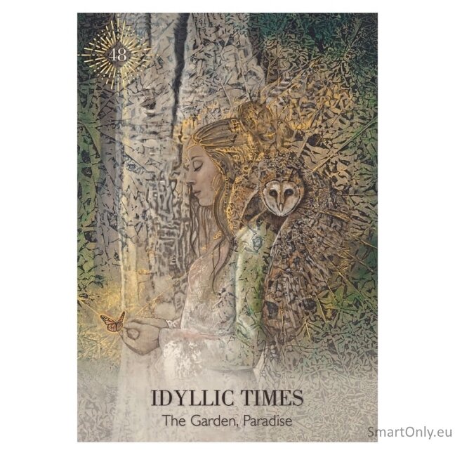 Priestess of Light Oracle kortos Hay House 2 Priestess of Light Oracle kortos Hay House 2