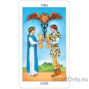 Radiant Raider Waite Tarot cards in TIN box US Games Systems 2 Radiant Raider Waite Tarot cards in TIN box US Games Systems 2