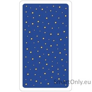 Radiant Raider Waite Tarot cards in TIN box US Games Systems 4 Radiant Raider Waite Tarot cards in TIN box US Games Systems 4