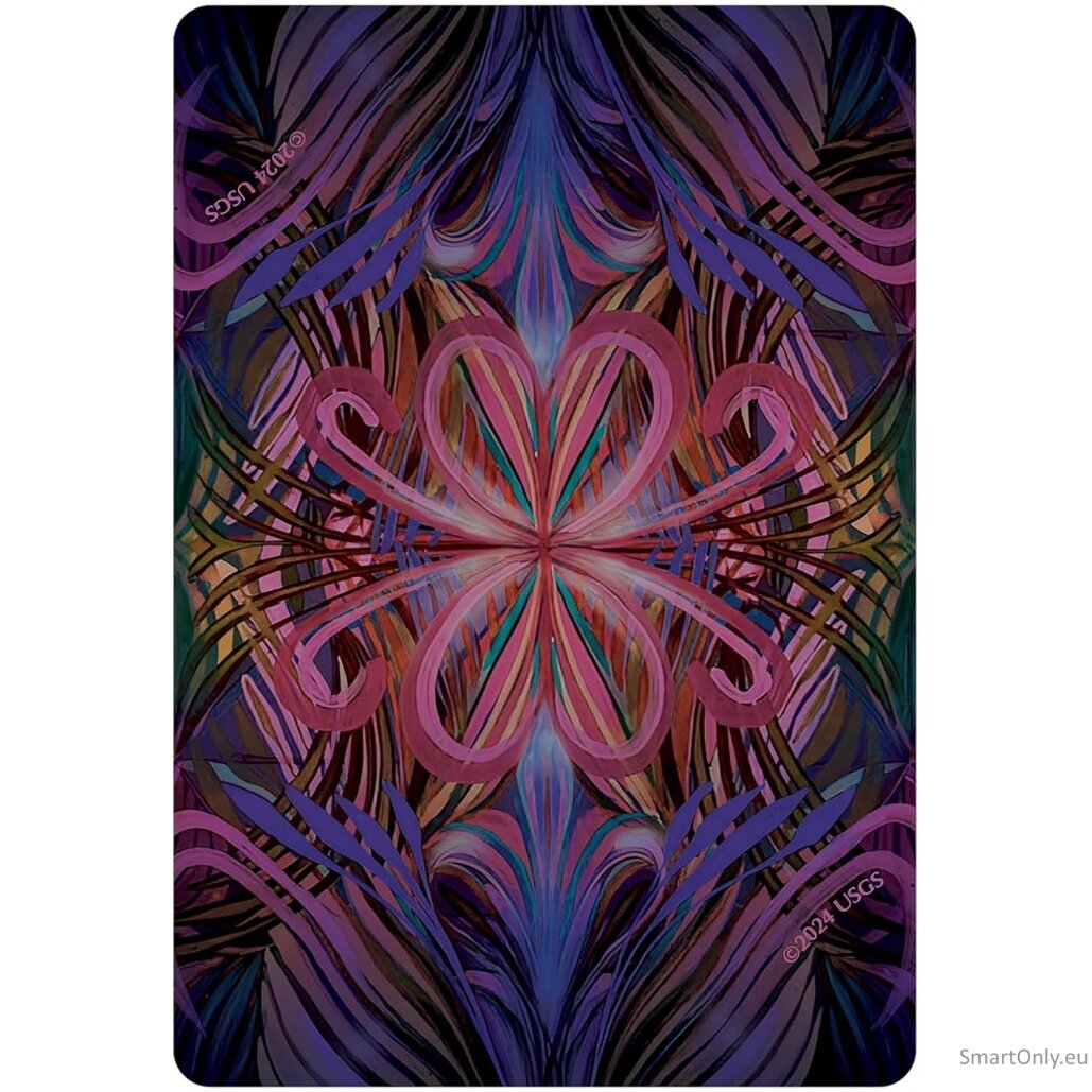 Reiki Divine Healing kortos US Games Systems 3 Reiki Divine Healing kortos US Games Systems 3