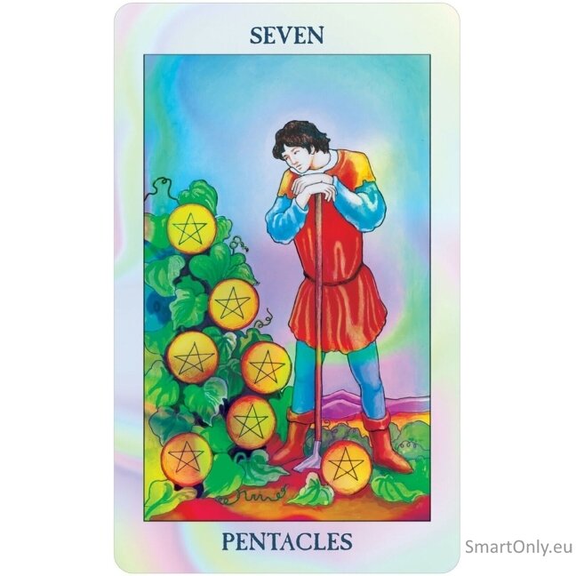 Reflective Tarot kortos US Games Systems (maža versija) 7 Reflective Tarot kortos US Games Systems (maža versija) 7
