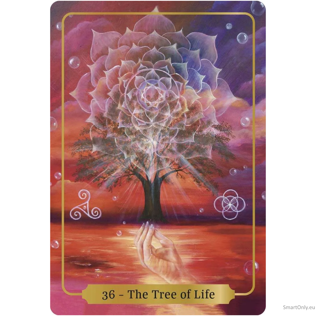 Sacred Blessings Oracle kortos Animal Dreaming 3 Sacred Blessings Oracle kortos Animal Dreaming 3