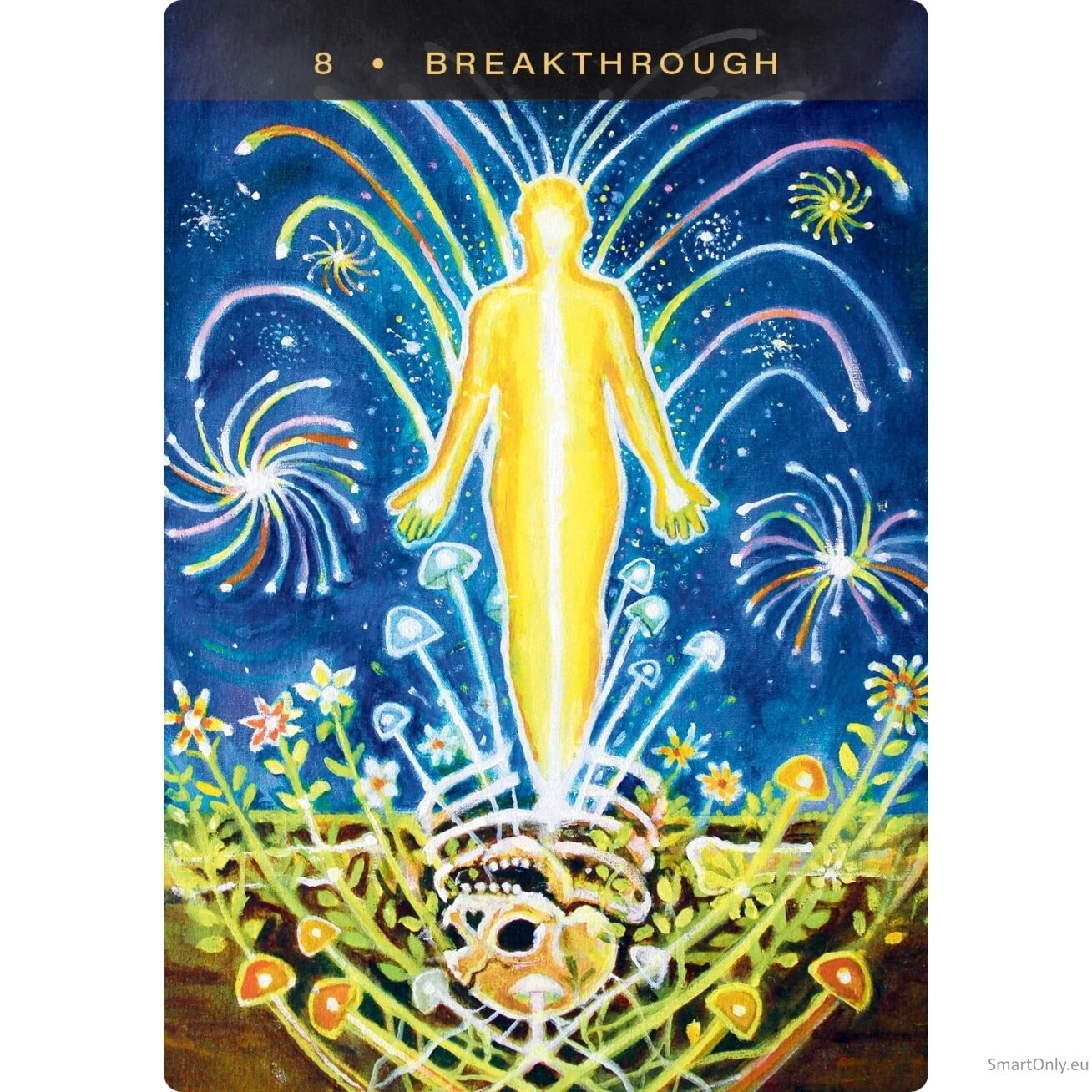 Sacred Mushroom Oracle kortos Hay House 3 Sacred Mushroom Oracle kortos Hay House 3
