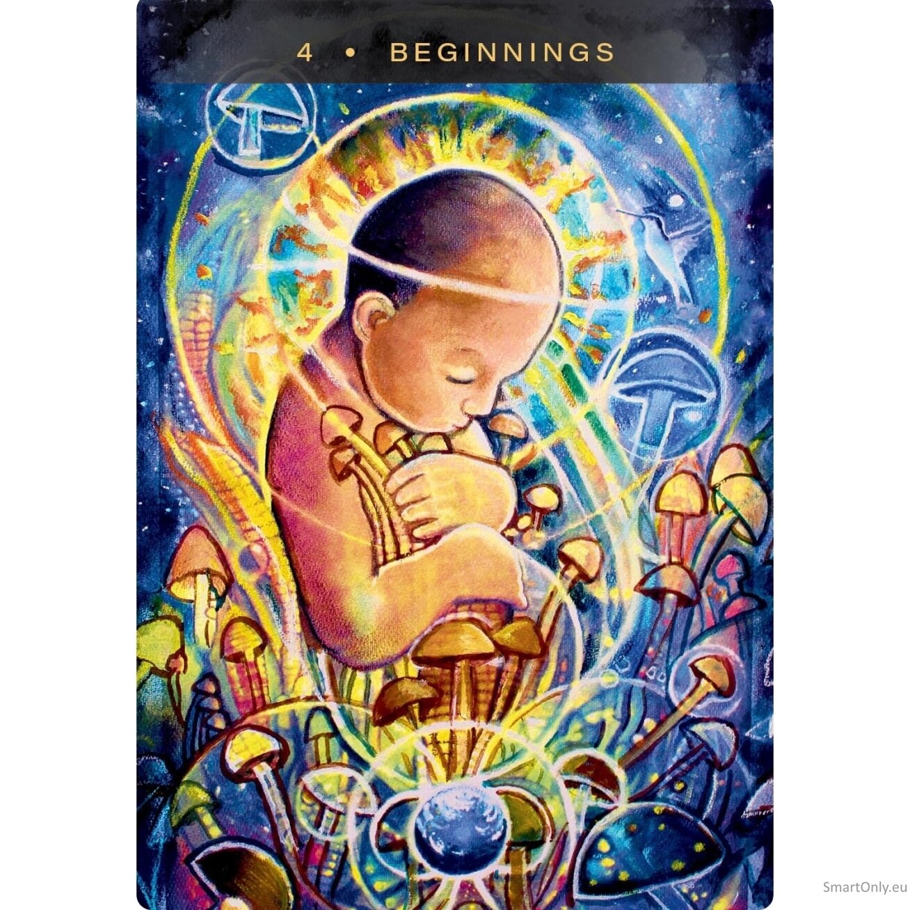 Sacred Mushroom Oracle kortos Hay House 5 Sacred Mushroom Oracle kortos Hay House 5