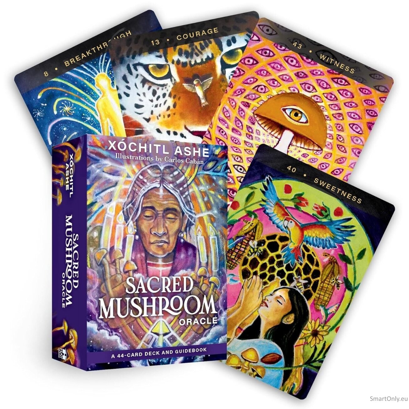 Sacred Mushroom Oracle kortos Hay House Sacred Mushroom Oracle kortos Hay House