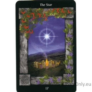 sacred-circle-taro-kortos-llewellyn-1