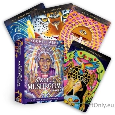 Sacred Mushroom Oracle kortos Hay House