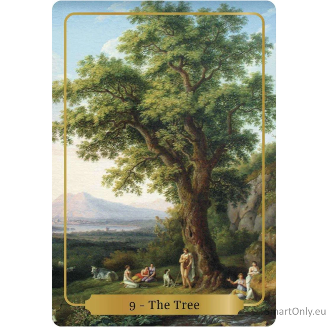 Sacred Blessings Oracle kortos Animal Dreaming 5 Sacred Blessings Oracle kortos Animal Dreaming 5