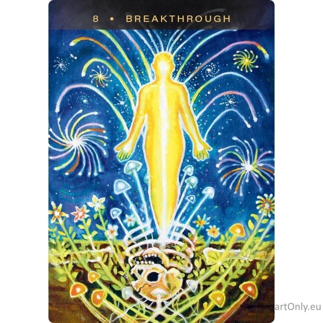 Sacred Mushroom Oracle kortos Hay House 3 Sacred Mushroom Oracle kortos Hay House 3
