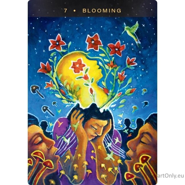 Sacred Mushroom Oracle kortos Hay House 4 Sacred Mushroom Oracle kortos Hay House 4