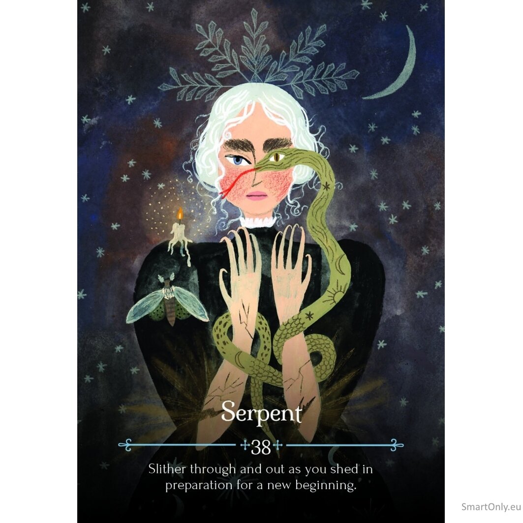 Seasons of the Witch Imbolc Orakulo kortos Rockpool 4