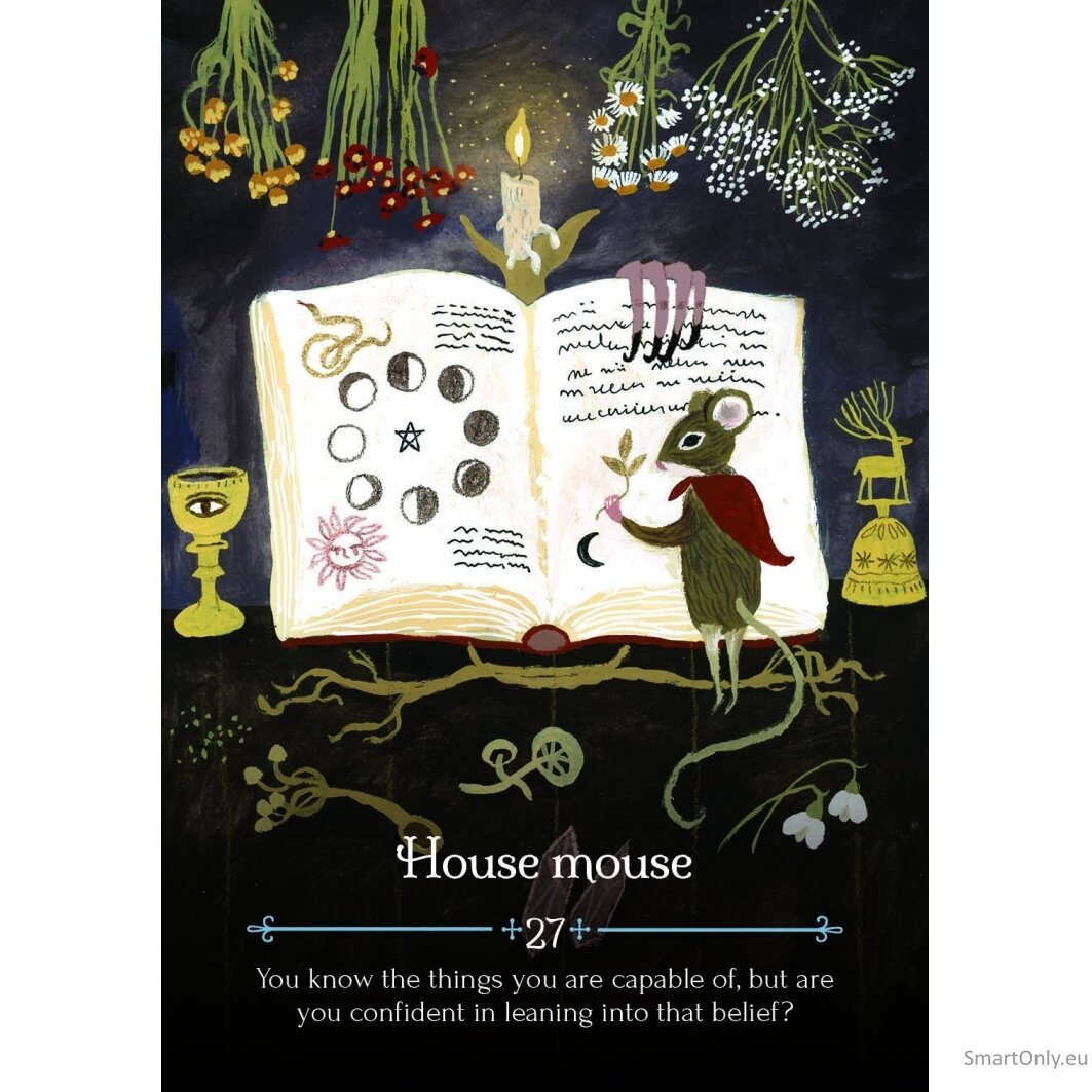 Seasons of the Witch Imbolc Orakulo kortos Rockpool 6 Seasons of the Witch Imbolc Orakulo kortos Rockpool 6