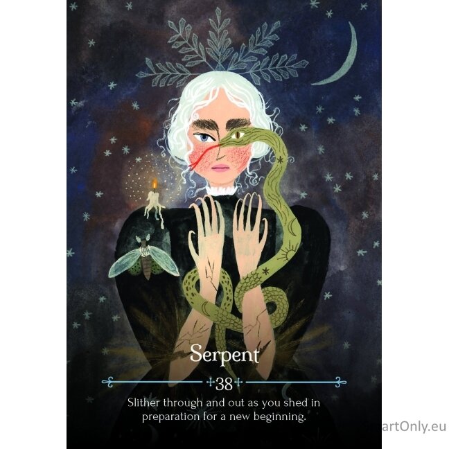 Seasons of the Witch Imbolc Orakulo kortos Rockpool 4