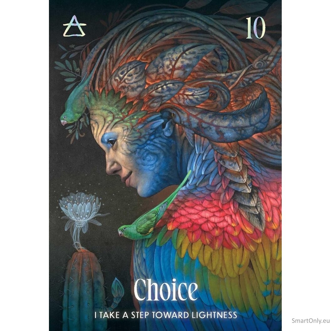 Shamanic Oracle kortos Rockpool Publishing 6