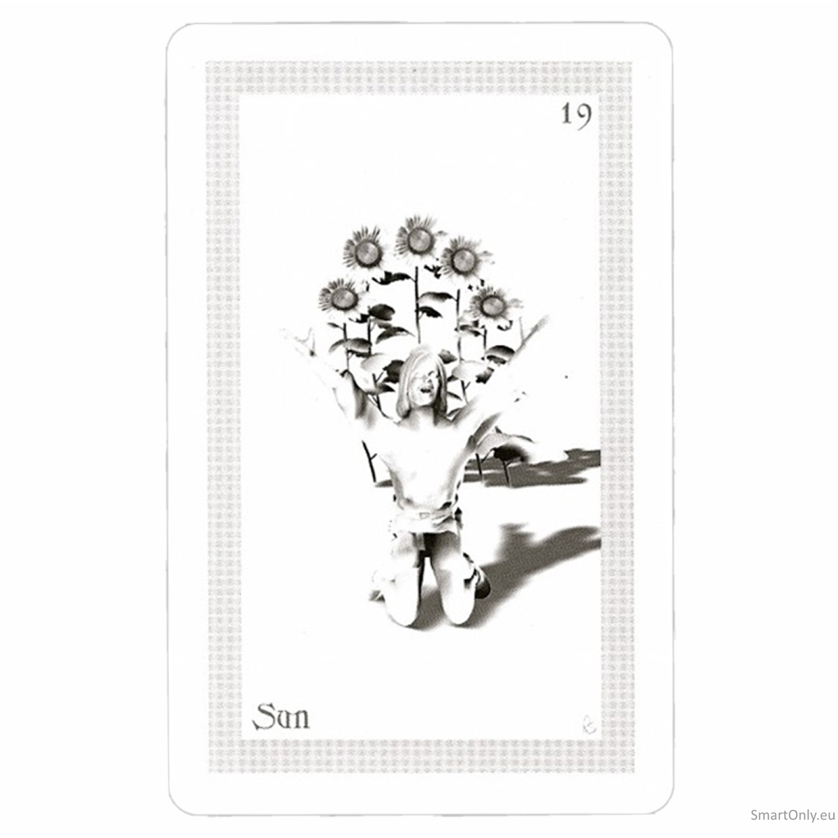 ShadowFox Tarot Kortos Schiffer Publishing 2 ShadowFox Tarot Kortos Schiffer Publishing 2