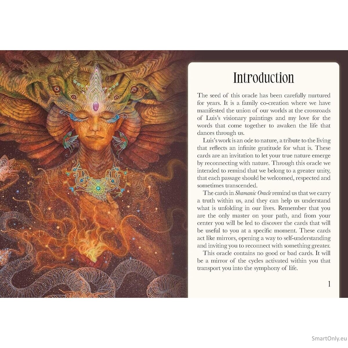 Shamanic Oracle kortos Rockpool Publishing 11 Shamanic Oracle kortos Rockpool Publishing 11