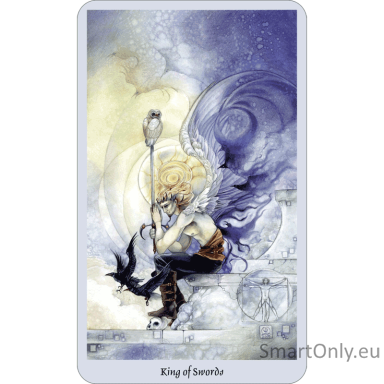 shadowscapes-taro-kortos-ir-knyga-rinkinys-llewellyn