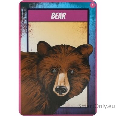 shamanic-power-animal-oracle-kortos-findhorn-press