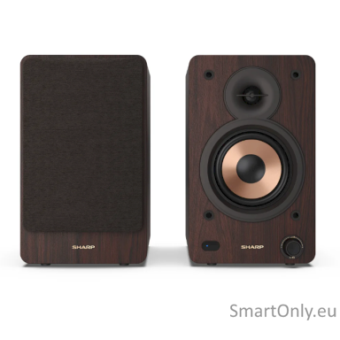 sharp-cp-ss30-bookshelf-speakers-brown-1-1