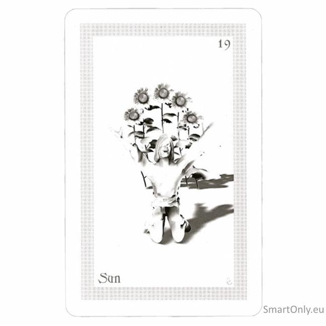 ShadowFox Tarot Kortos Schiffer Publishing 2 ShadowFox Tarot Kortos Schiffer Publishing 2
