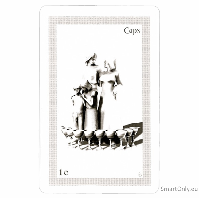 ShadowFox Tarot Kortos Schiffer Publishing 7 ShadowFox Tarot Kortos Schiffer Publishing 7