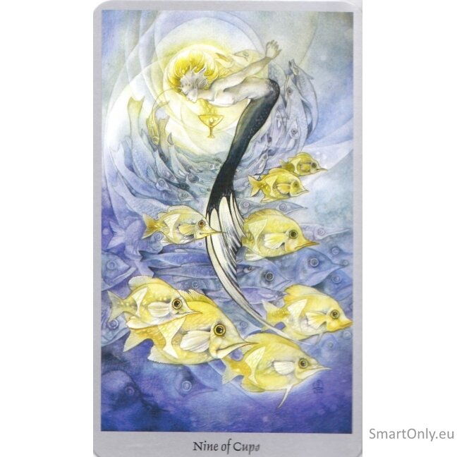 Shadowscapes Taro kortos ir knyga (rinkinys) Llewellyn 5 Shadowscapes Taro kortos ir knyga (rinkinys) Llewellyn 5