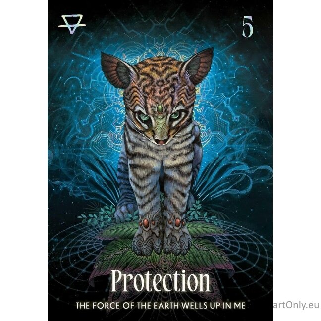 Shamanic Oracle kortos Rockpool Publishing 5