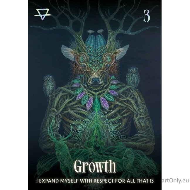 Shamanic Oracle kortos Rockpool Publishing 4