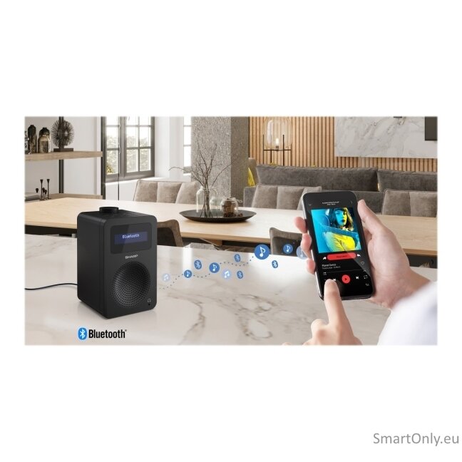 Sharp DR-430(BK) Digital Radio, FM/DAB/DAB+, Bluetooth 5.0, Midnight Black | Sharp | Digital Radio | DR-430(BK) | Bluetooth | Midnight Black 12
