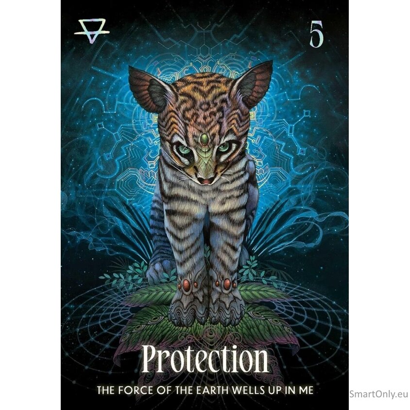 Shamanic Oracle kortos Rockpool Publishing 5 Shamanic Oracle kortos Rockpool Publishing 5