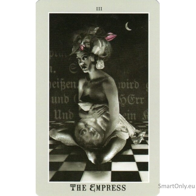 Silver Era Tarot Kortos Schiffer Publishing 5