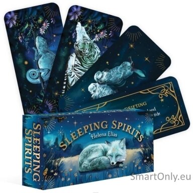Sleeping Spirits kortos Rockpool Publishing