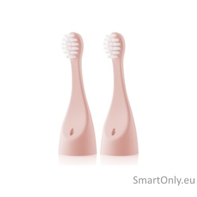 Sonetic Kids 171090200 | ETA Replacement brush heads | Heads | For kids | Number of brush heads included 2 | Pink Sonetic Kids 171090200 | ETA Replacement brush heads | Heads | For kids | Number of brush heads included 2 | Pink
