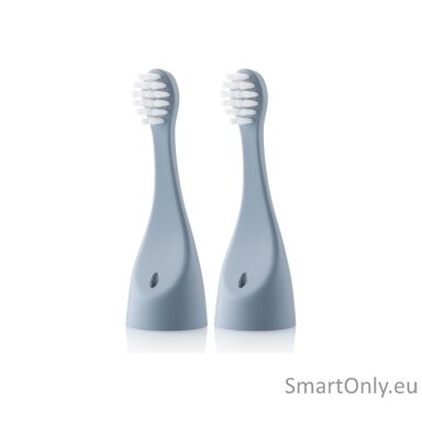 Sonetic Kids 171090500 | ETA Replacement brush heads | Heads | For kids | Number of brush heads included 2 | Blue Sonetic Kids 171090500 | ETA Replacement brush heads | Heads | For kids | Number of brush heads included 2 | Blue